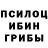 Галлюциногенные грибы Cubensis cbr.ru