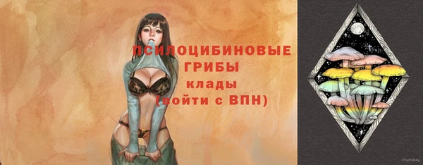 бошки Осинники