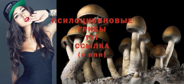 метадон Осташков