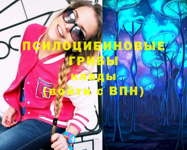 бошки Осинники