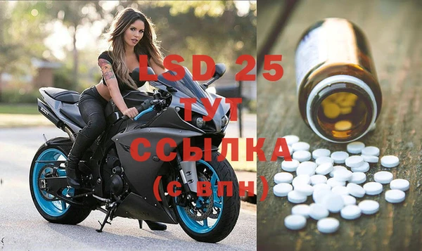 бошки Осинники
