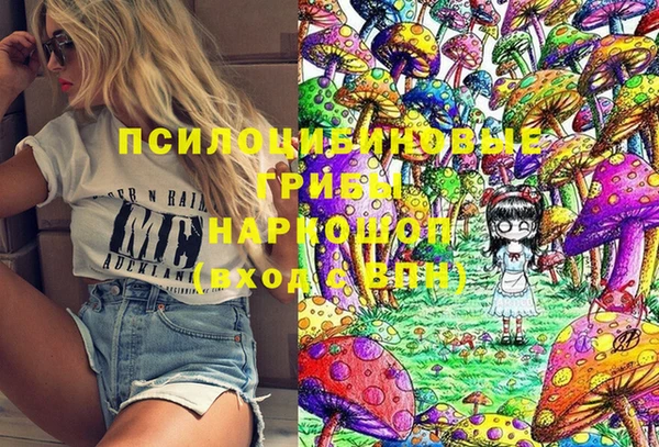 бошки Осинники