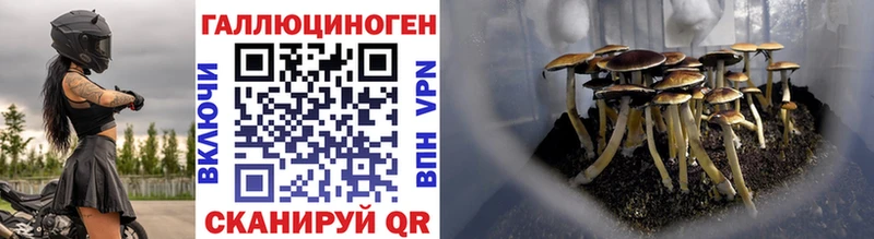 хочу   блэк спрут как войти  Галлюциногенные грибы GOLDEN TEACHER  Безенчук 